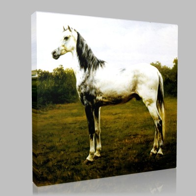 Rosa Maria Bonheu-Tinted gray horse Stampa su Tela 