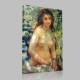 Renoir-Study,chest,effect of sun Canvas