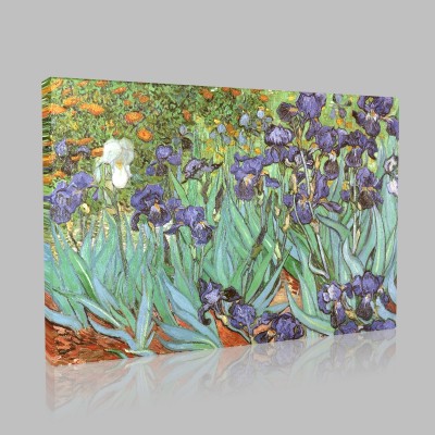 Van Gogh-Irises, Saint-Remy Stampa su Tela