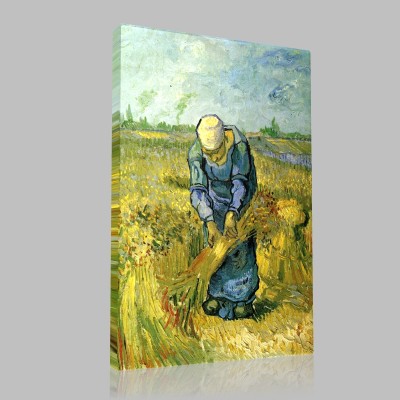 Van Gogh-Ploughing Woman Stampa su Tela