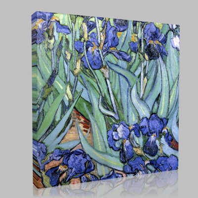 Van Gogh-Irises,Saint Remy Stampa su Tela