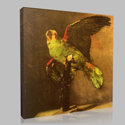 Van Gogh-Parrot Stampa su Tela