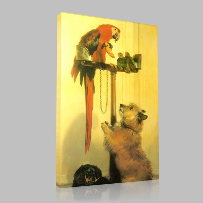 Sir Edwin Landseer-Islay, Tilco, a macaw and two love-birds Canvas